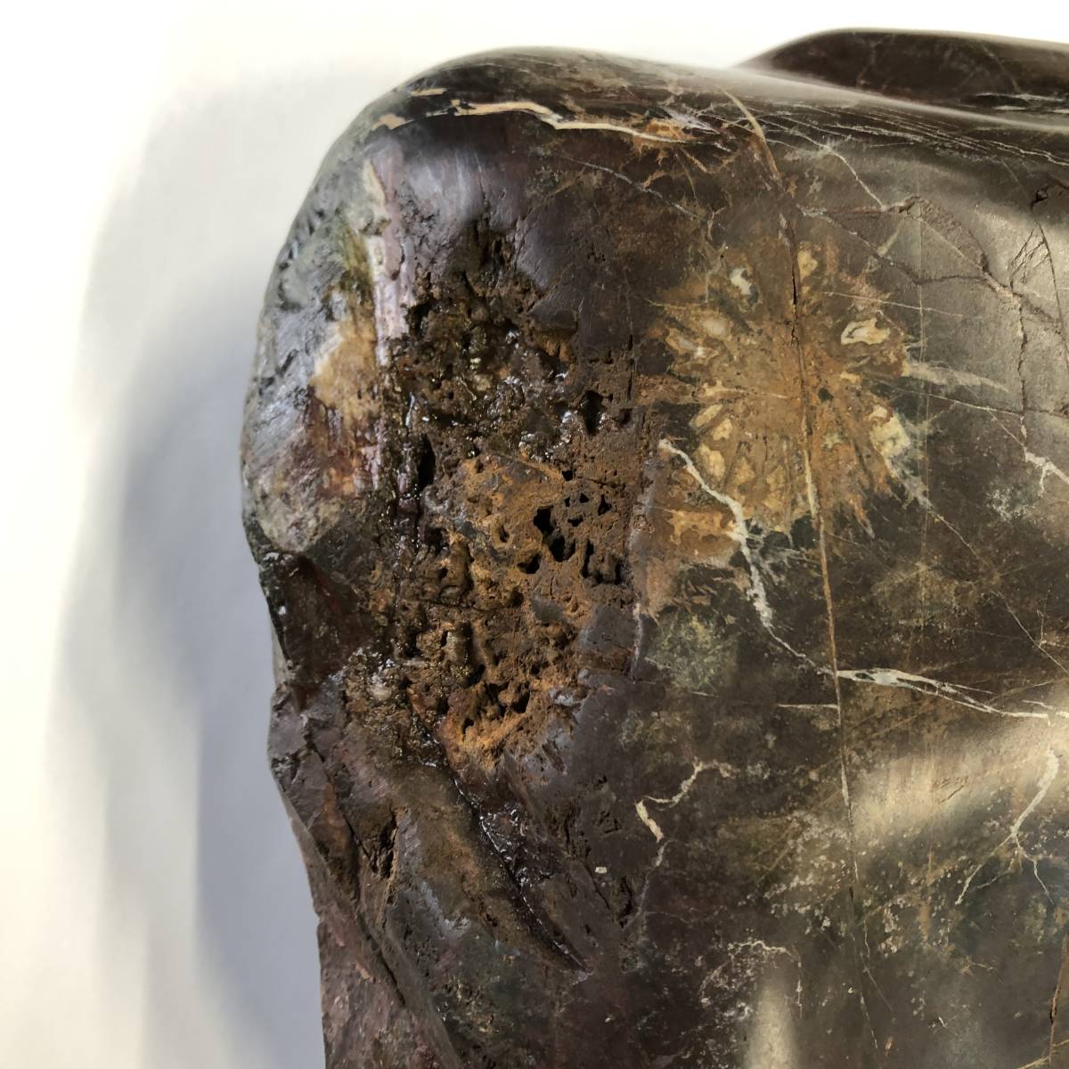 菊花石 天然 鑑賞石 極希少猿投山の菊花石約203g 天然記念物水石鑑賞石菊