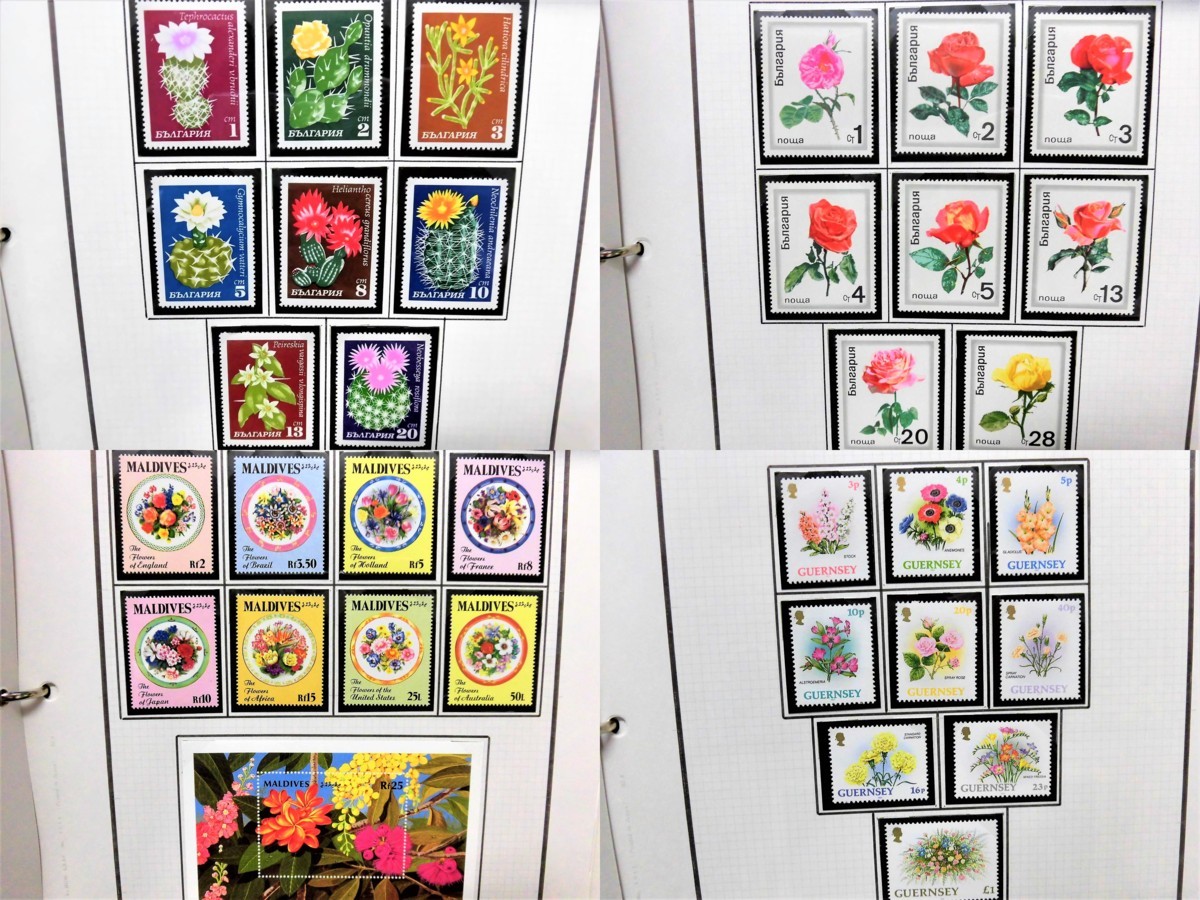 | 銅版画で愉しむ 花・花束を贈る 二十四節気の花ことば 英訳付き ゆう 燦／白谷 神在花嫁綺譚／東堂 0 京都 [生活・実用書 今がいちばん。花と暮らして永順80歳」高橋永順 プリザーブド 思いを届けるお供えの花東京堂 Life 集英社