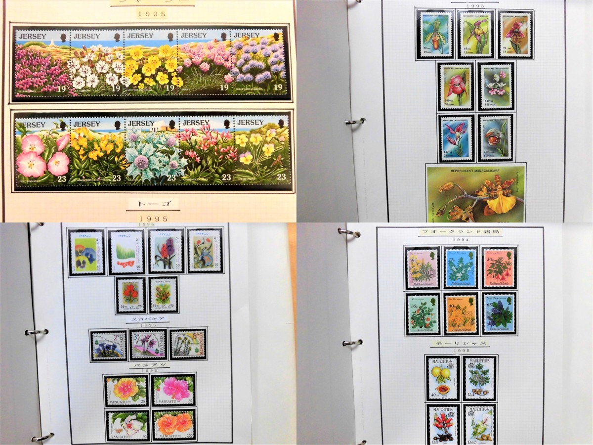 | 銅版画で愉しむ 花・花束を贈る 二十四節気の花ことば 英訳付き ゆう 燦／白谷 神在花嫁綺譚／東堂 0 京都 [生活・実用書 今がいちばん。花と暮らして永順80歳」高橋永順 プリザーブド 思いを届けるお供えの花東京堂 Life 集英社