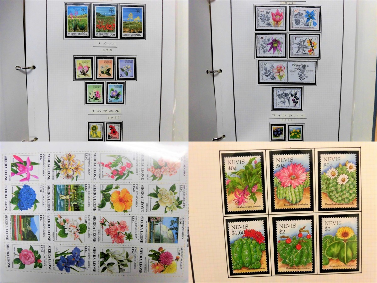 | 銅版画で愉しむ 花・花束を贈る 二十四節気の花ことば 英訳付き ゆう 燦／白谷 神在花嫁綺譚／東堂 0 京都 [生活・実用書 今がいちばん。花と暮らして永順80歳」高橋永順 プリザーブド 思いを届けるお供えの花東京堂 Life 集英社
