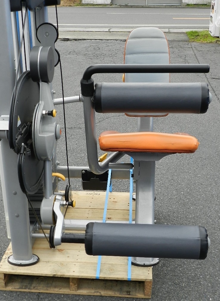 - SportsArt Fitness Press Leg Commercial &frasl; BoDYLINK Extension Functional FS-100 Trainer TRUE Line DF DS972