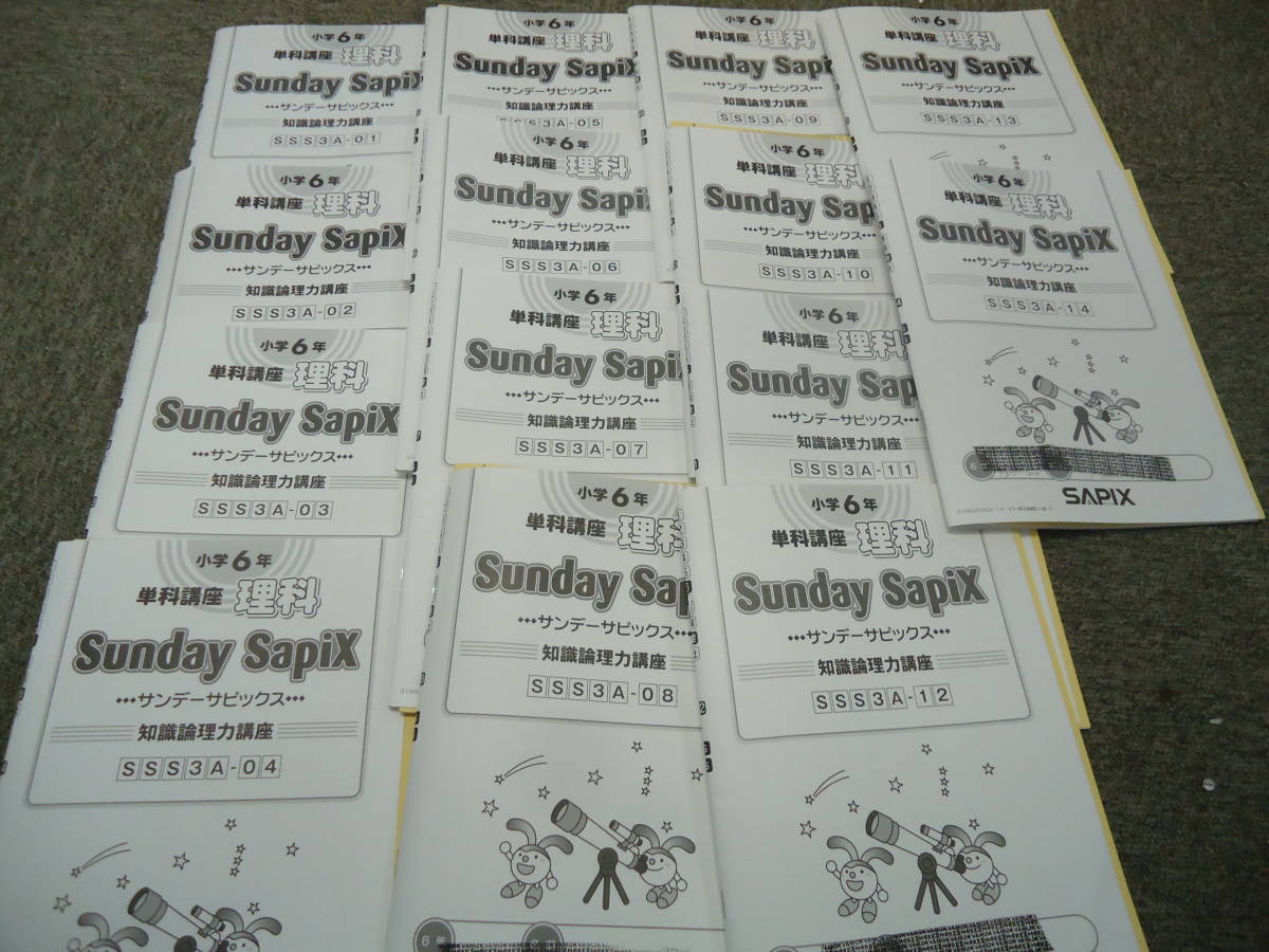 SS特訓 理科 単科講座 小学6年 Sunday 知識論理力講座 サンデー 