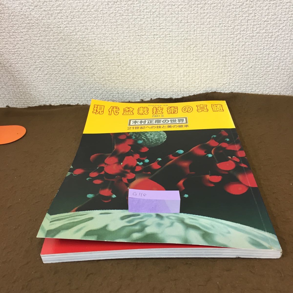 現代盆栽技術の真髄 PART II 盆栽 植物 木村 正彦 現代盆栽技術の真髄 Bonsai II 木村正彦の世界 メルカリ PART Part