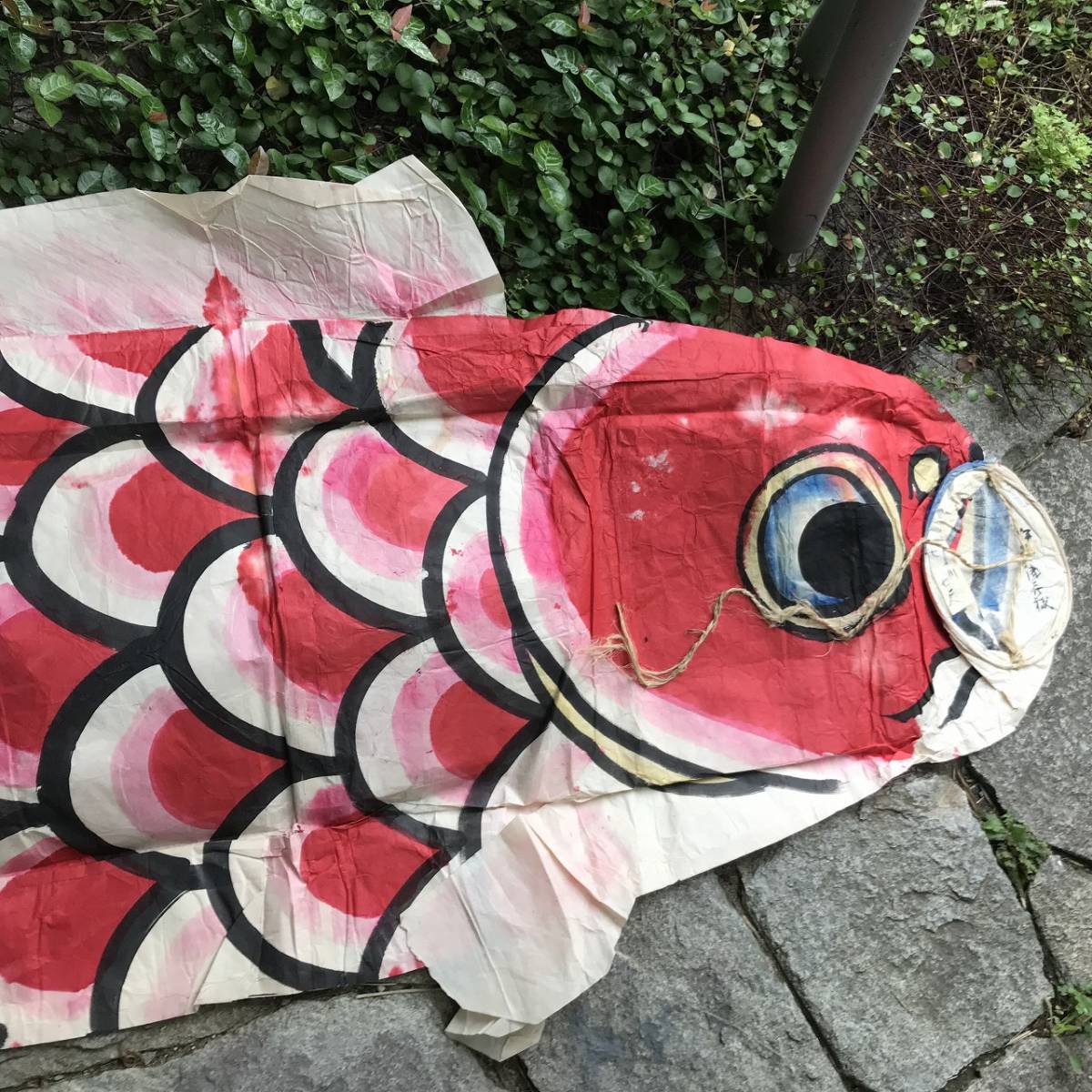 ☆ 1 幕末～明治初期 年代物 鯉のぼり 和紙 継ぎ合わせ 手描き 錦鯉