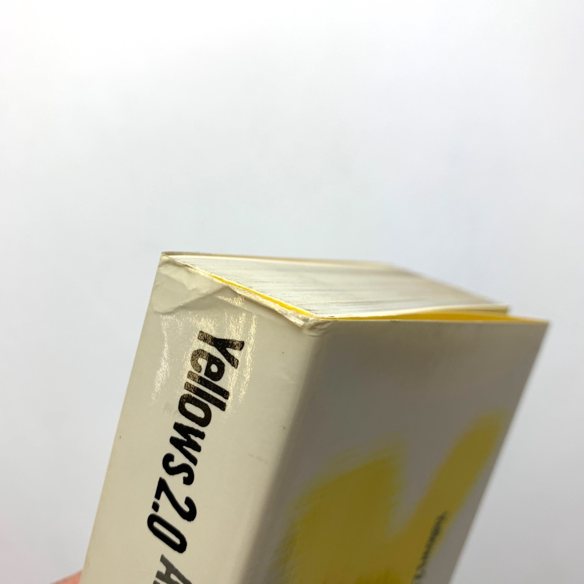 五味彬 YELLOWS ぶんか社 Yellows 2.0 帯付き イエローズ2.0 