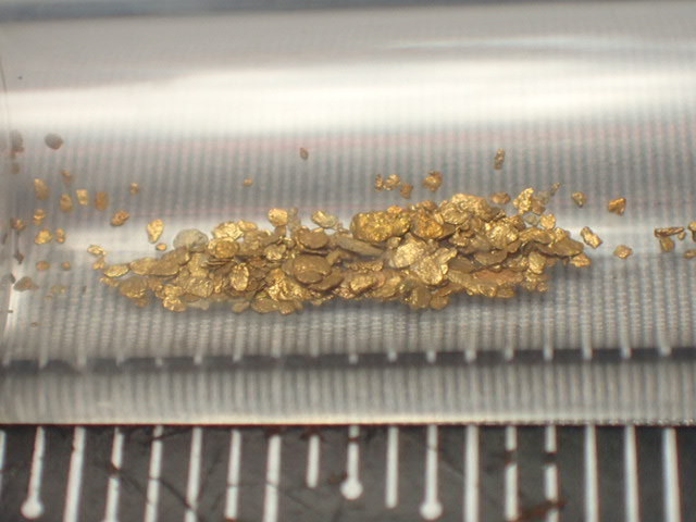 TC国産鉱物 茨城県産 常陸大宮市 玉川 自然金（砂金）ガーネットとセット