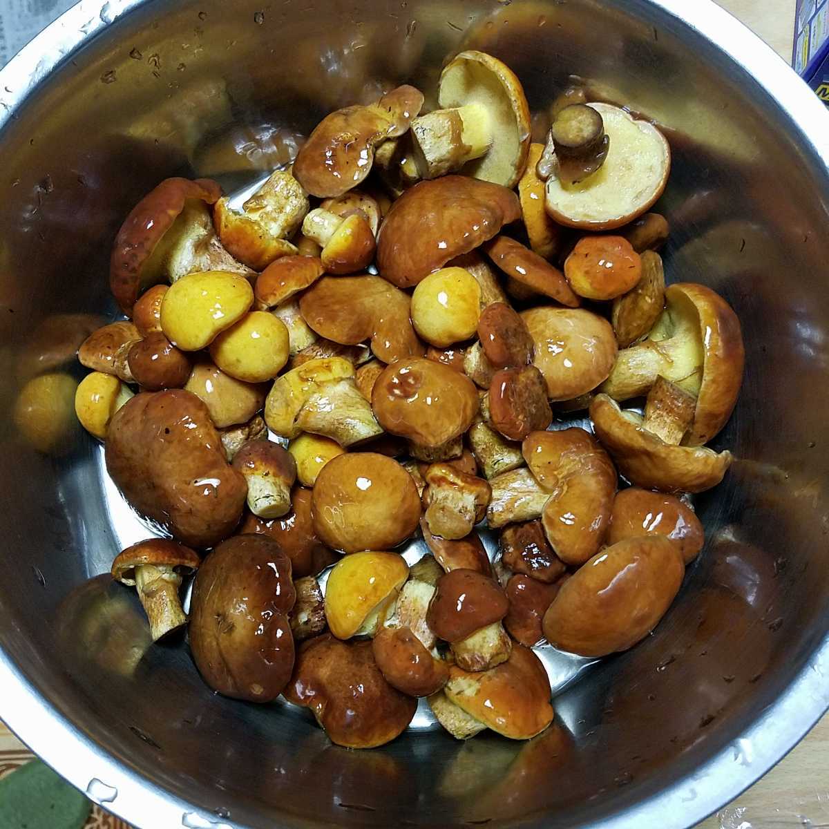冷凍 天然 ハナイグチ 1キロ おまけ200㌘ キノコ 落葉キノコ 御閲覧