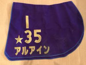 実使用 ゼッケンのYahoo!オークション(旧ヤフオク!)の相場・価格を見る