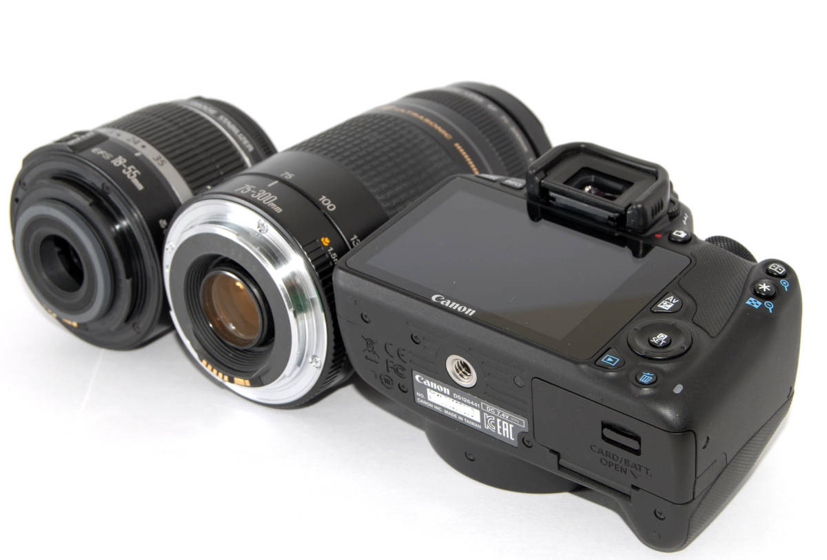 一眼レフカメラ始めませんか5点セット新品 キヤノン EOS R50 レンズ 