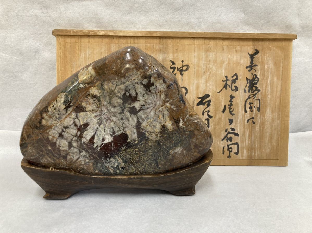 菊花石 鑑賞石 観賞石 水石 盆石 天然石 Yahoo!オークション 「菊花石+
