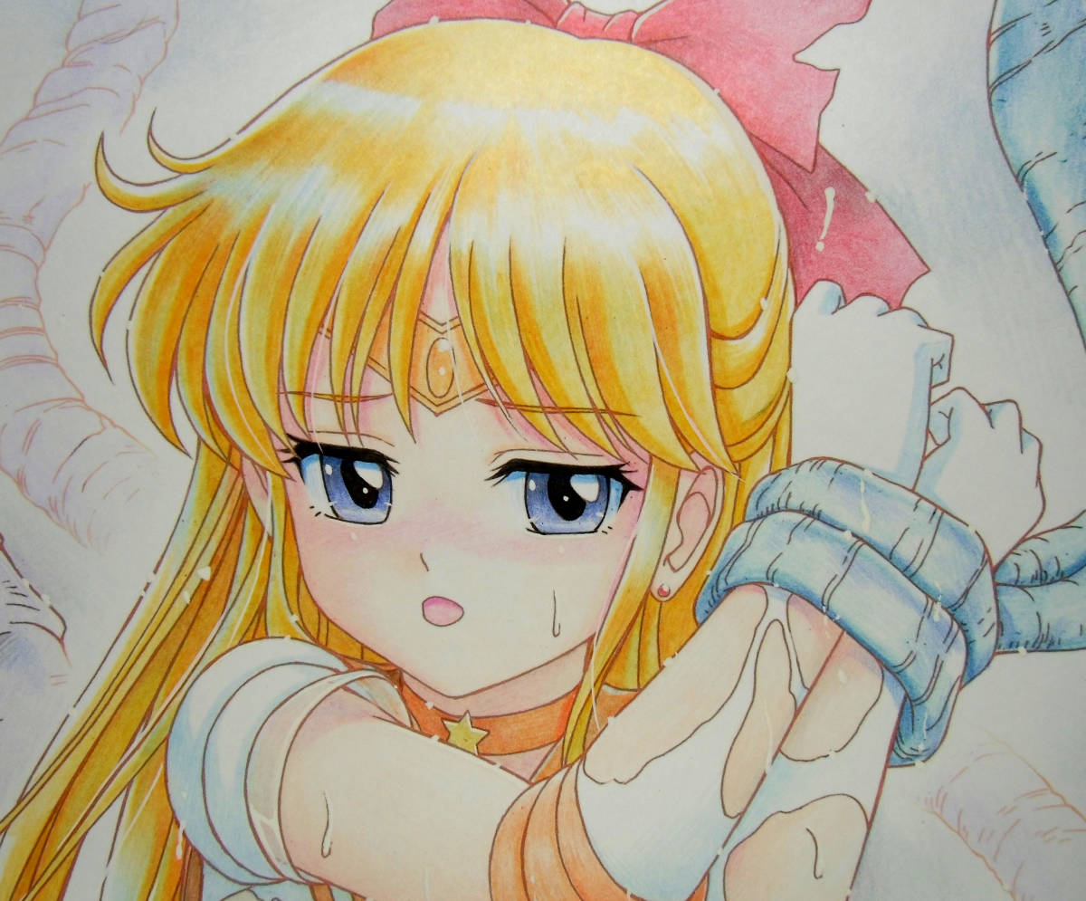 セーラーヴィーナス ああ レイちゃんに見えちゃう 色鉛筆アート 手描きイラスト 売買されたオークション情報 Yahooの商品情報をアーカイブ公開 オークファン Aucfan Com