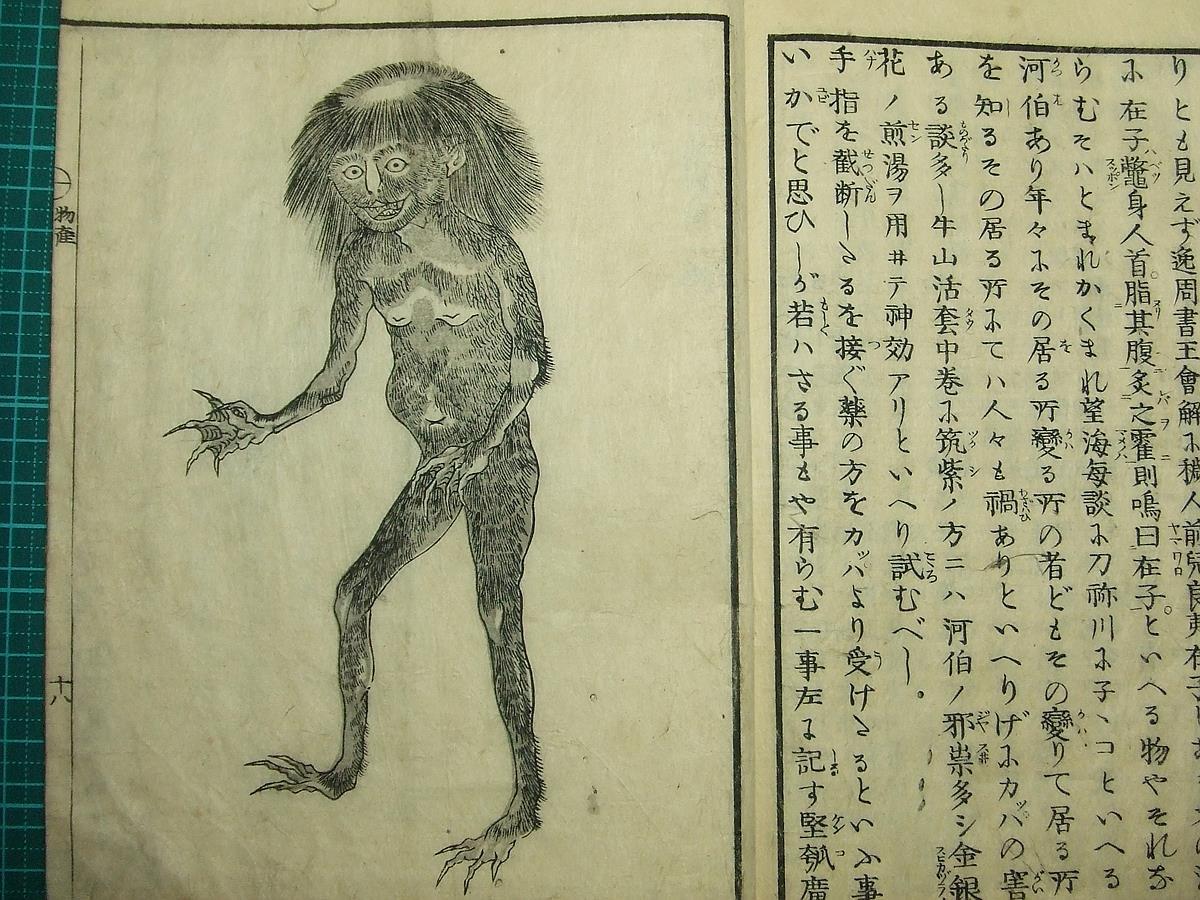 あーり様おまとめ ○江戸和本○利根川図志［刀根川図志］赤松宗旦 葛飾北斎二世 香取正文