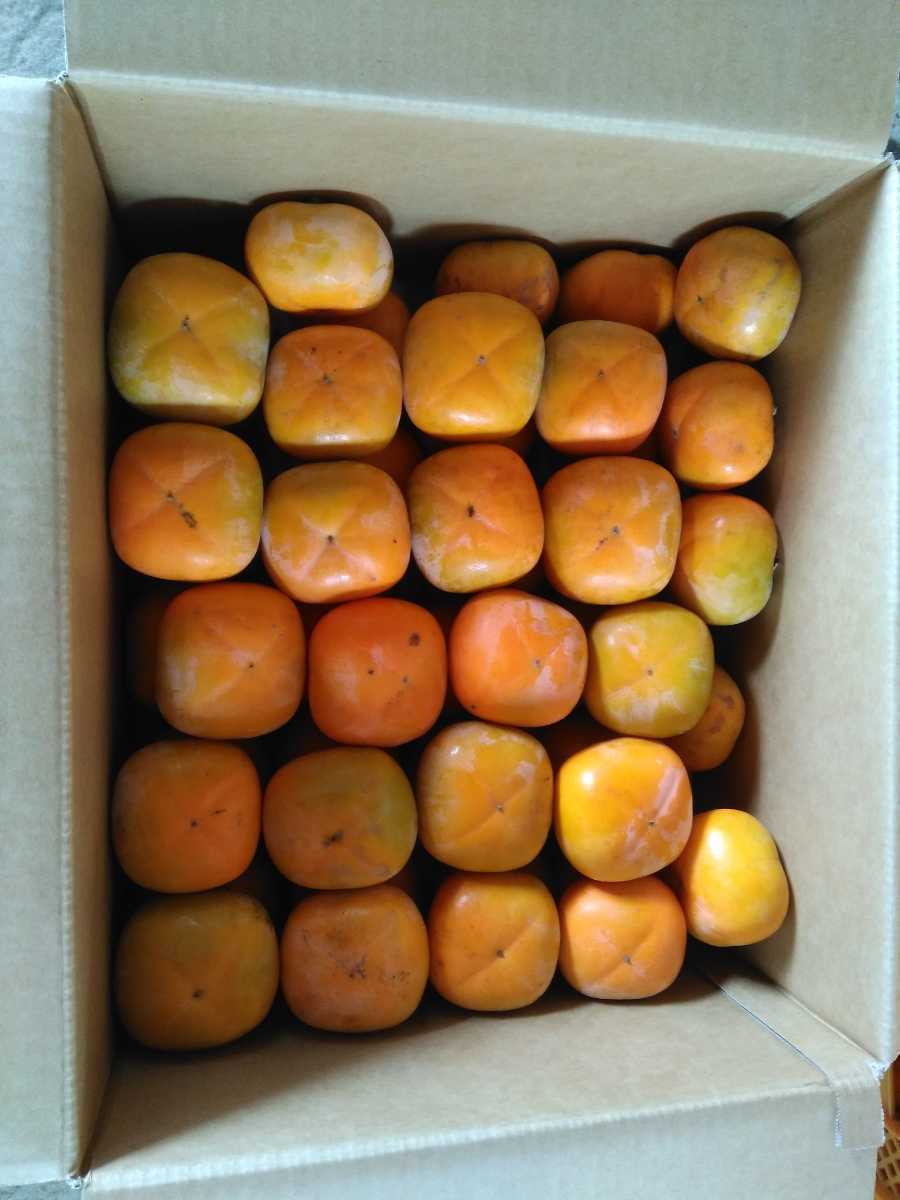 種なし柿 刀根早生 10kg 和歌山県産生産者直送 除草剤不使用 1980円 柿 売買されたオークション情報 Yahooの商品情報をアーカイブ公開 オークファン Aucfan Com