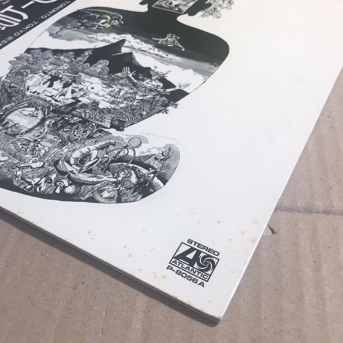 フラワートラベリンバンド FLOWER TRAVELLIN