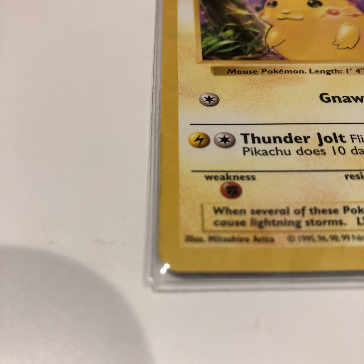 ポケモンカード 英語版 旧裏面 ピカチュウ (ポケモンカードゲーム