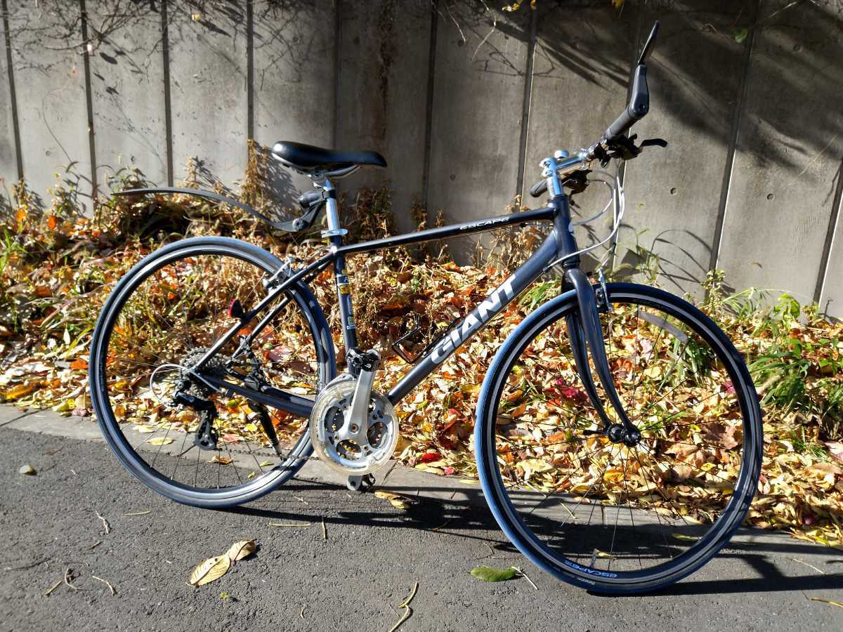 R3 ESCAPE GIANT | &frasl; 2019年モデル 0 Bicycles クロスバイク 「ジャイアント」 ｜ ① (2019年モデル) セオサイクル南浦和店 中目黒店 クロス
