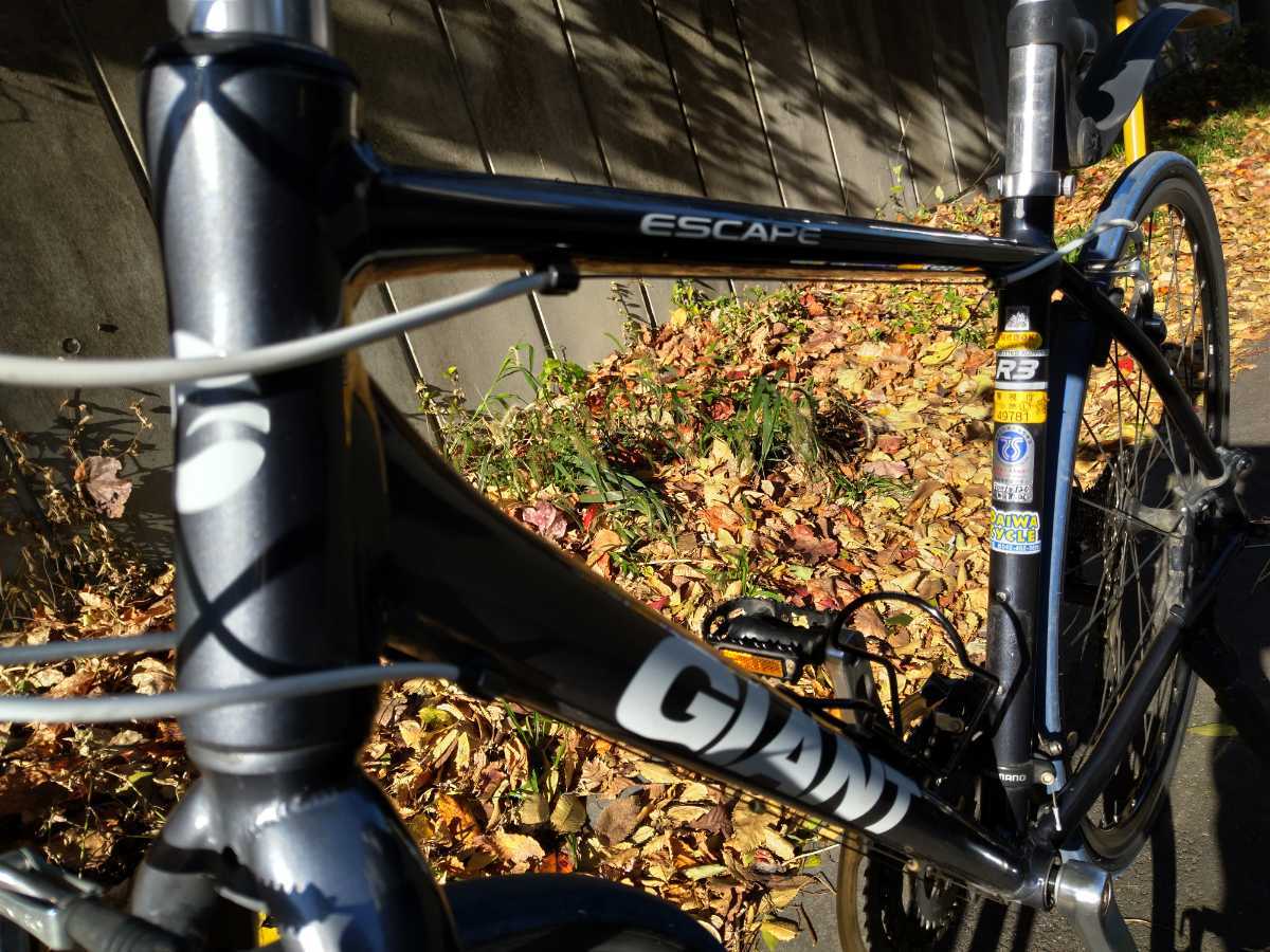 R3 ESCAPE GIANT | &frasl; 2019年モデル 0 Bicycles クロスバイク 「ジャイアント」 ｜ ① (2019年モデル) セオサイクル南浦和店 中目黒店 クロス