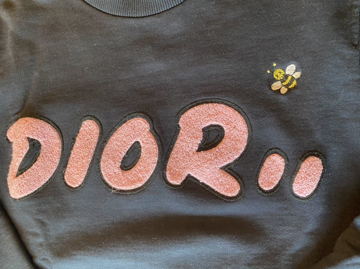 正規限定 19SS DIOR ディオール KAWS BEE 蜂 ロゴ スウェット(トップス