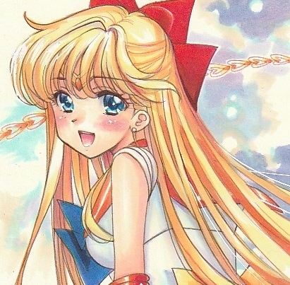 同人手描きイラスト セーラーヴィーナス：愛野美奈子 A4サイズ の入札