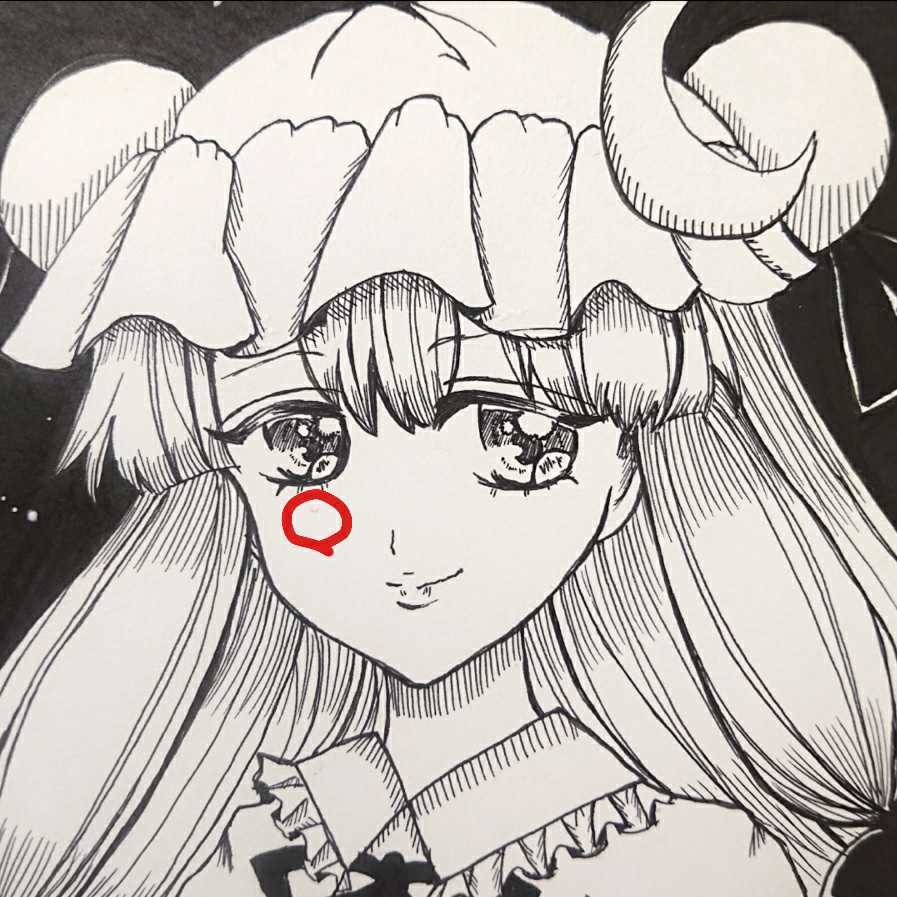 自作 手描き イラスト B5 パチュリー ノーレッジ ペン画 モノクロ 白黒