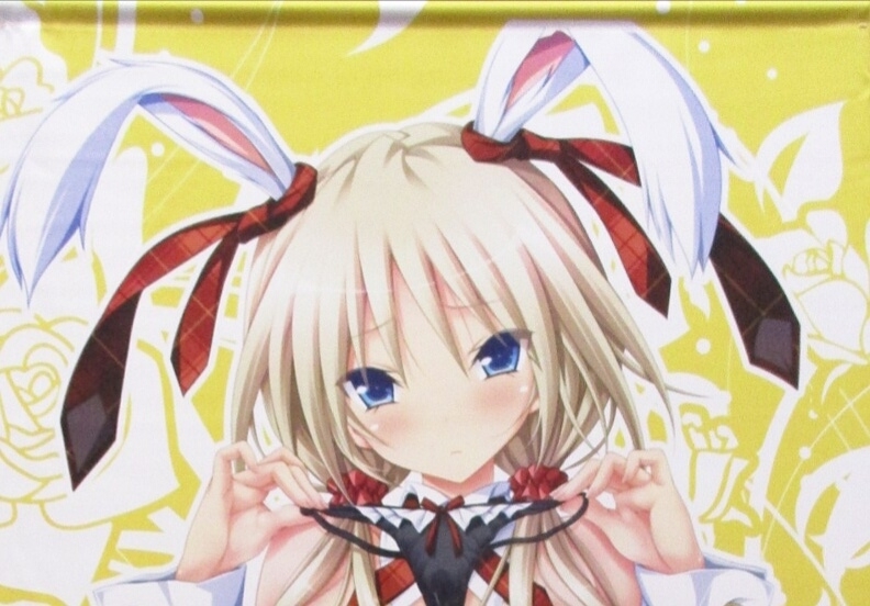 ハピメア Purple software 弥生 復刻タペストリー の入札履歴 - 入札者  