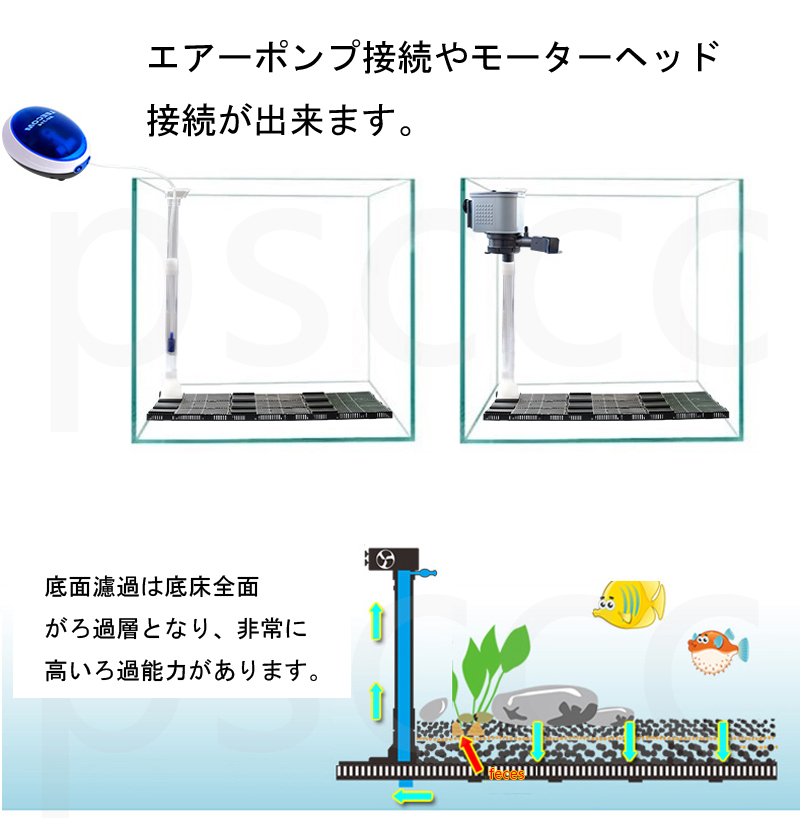底面フィルター 60ｃｍ 水槽用 セット プレート１６枚 専用パイプ１個 ろ過 底面 フィルター 底面式 売買されたオークション情報 Yahooの商品情報をアーカイブ公開 オークファン Aucfan Com