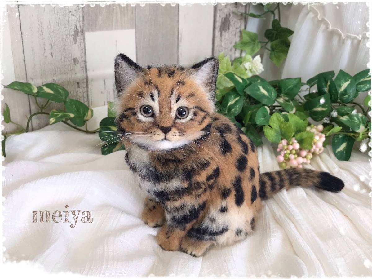 Meiya 羊毛フェルト ネコ科猛獣 クロアシネコ ネコ科 彡送料一律 ハンドメイド 羊毛フェルト 売買されたオークション情報 Yahooの商品情報をアーカイブ公開 オークファン Aucfan Com