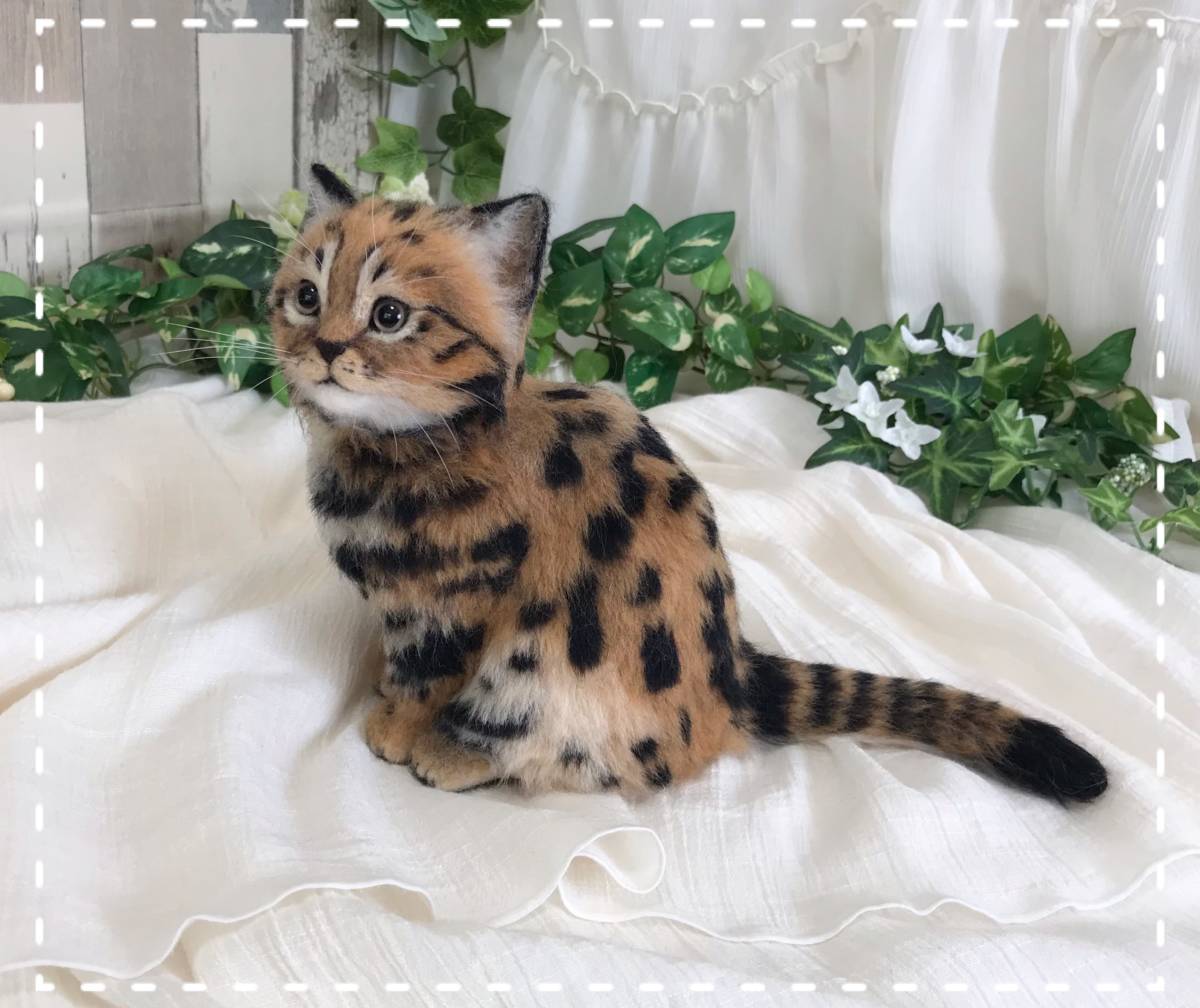 Meiya 羊毛フェルト ネコ科猛獣 クロアシネコ ネコ科 彡送料一律 ハンドメイド 羊毛フェルト 売買されたオークション情報 Yahooの商品情報をアーカイブ公開 オークファン Aucfan Com