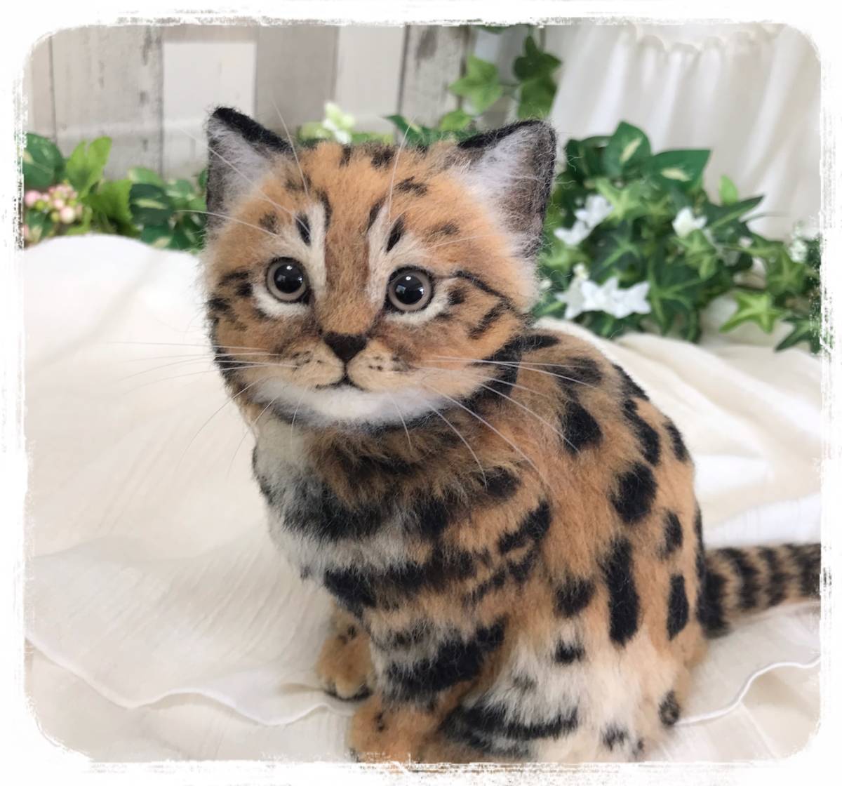 Meiya 羊毛フェルト ネコ科猛獣 クロアシネコ ネコ科 彡送料一律 ハンドメイド 羊毛フェルト 売買されたオークション情報 Yahooの商品情報をアーカイブ公開 オークファン Aucfan Com Meiya 羊毛フェルト ネコ科猛獣 クロアシネコ ネコ科 彡送料一律 ハンドメイド 羊毛フェルト 売買されたオークション情報 Yahooの商品情報をアーカイブ公開 オークファン Aucfan Com