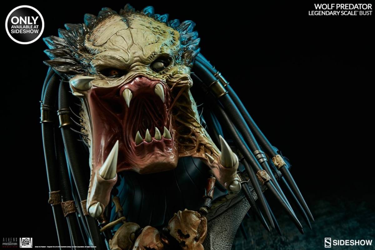 サイドショウ AVP2 ウルフプレデター サイドショウ限定Exclusive 