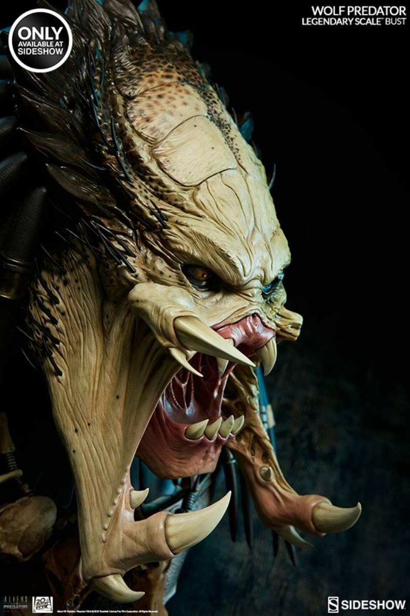 サイドショウ AVP2 ウルフプレデター サイドショウ限定Exclusive