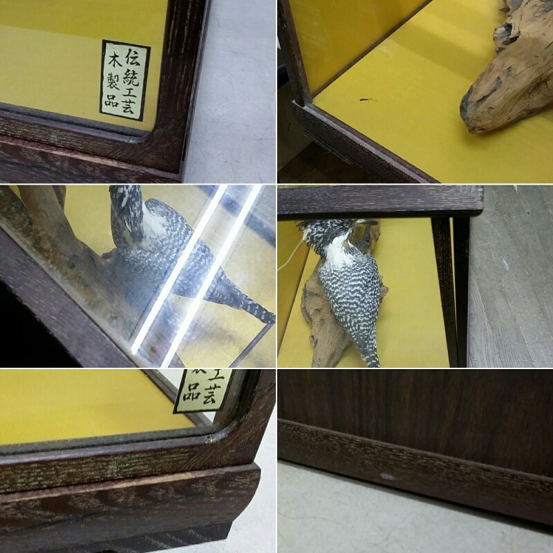 直接引取限定 大型 ヤマセミ 置物 剥製 カワセミ 科 2羽 ペア 山魚狗 日本の野鳥 美術品 ガラスケース 科学 自然 売買されたオークション情報 Yahooの商品情報をアーカイブ公開 オークファン Aucfan Com