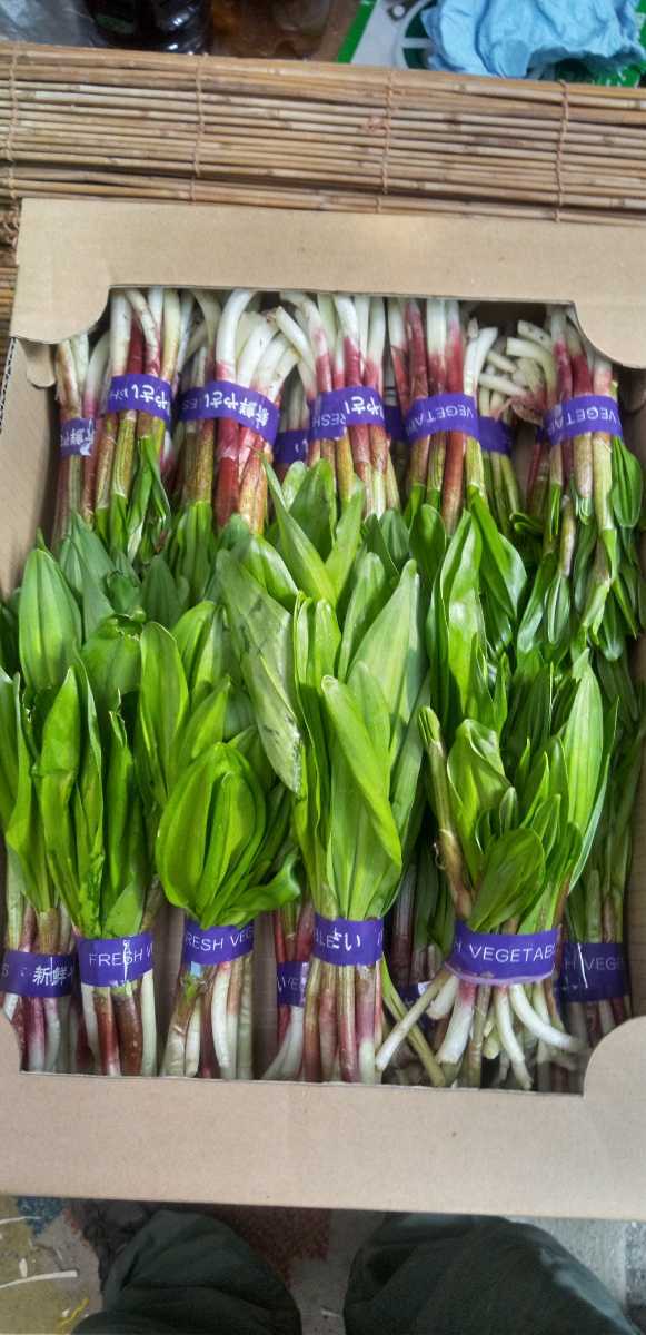 行者にんにく 2キロ 天然行者ニンニク 行者ニンニク 山菜 2kg 