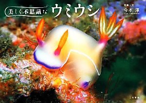 ウミウシのヤフオク の相場 価格を見る ヤフオク のウミウシのオークション売買情報は33件が掲載されています