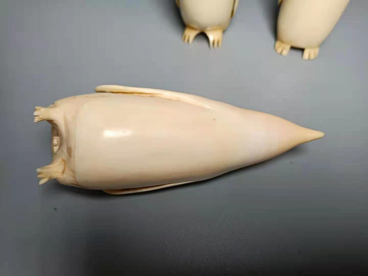 ペンギン　鯨歯工芸品　3点セット ペンギン 鯨歯 工芸品 3点セット ブランド 品 通販