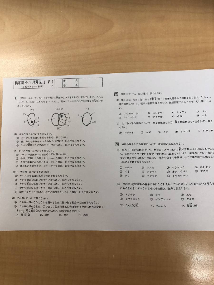 浜学園 小5 理科 最上位ｖクラスの実力復習テスト 中学受験 売買されたオークション情報 Yahooの商品情報をアーカイブ公開 オークファン Aucfan Com