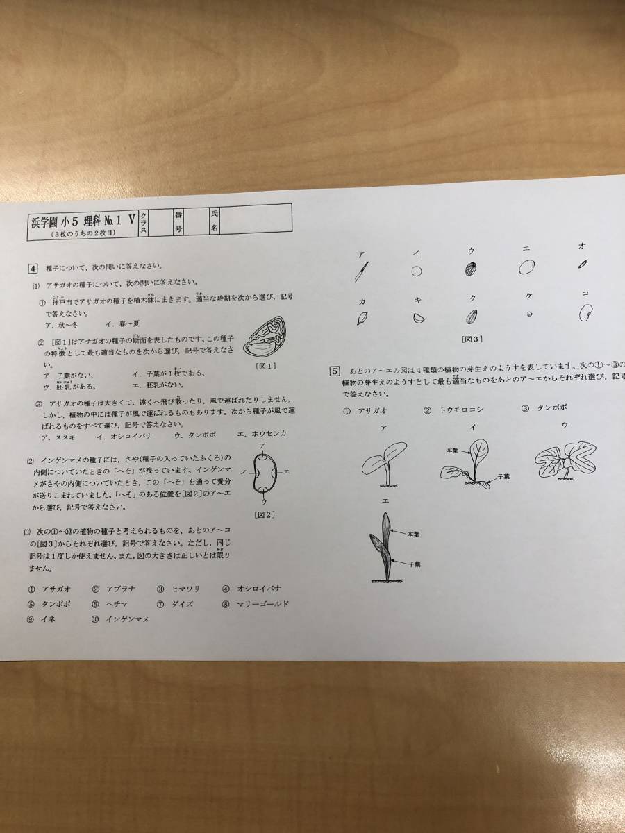 浜学園 小５ 国語 理科 社会 算数 ４科目ｖクラス復習テスト 22正規激安 ４科目ｖクラス復習テスト