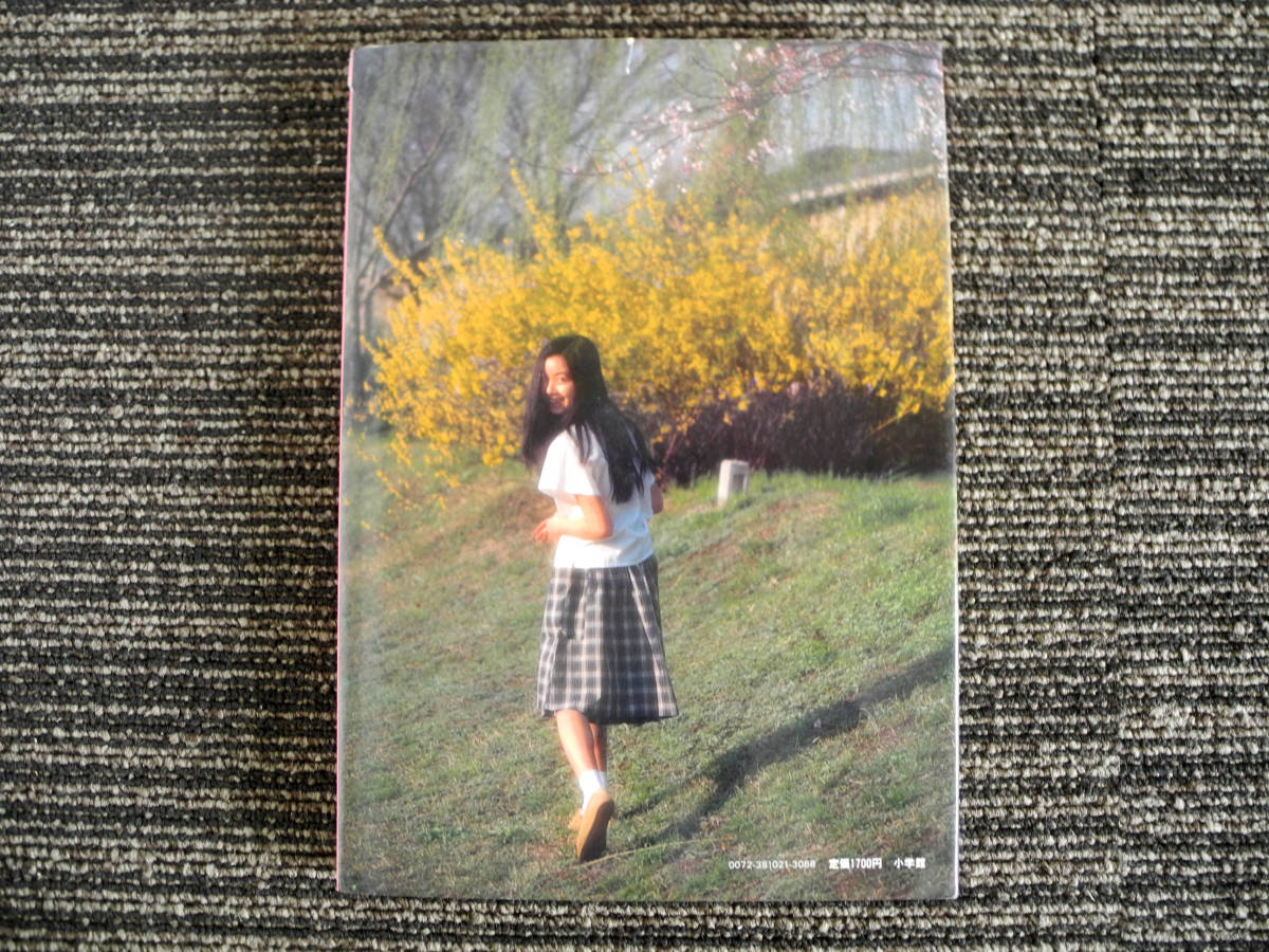手塚理美 写真集 四色の花火 : 手塚理美写真集 手塚さとみ