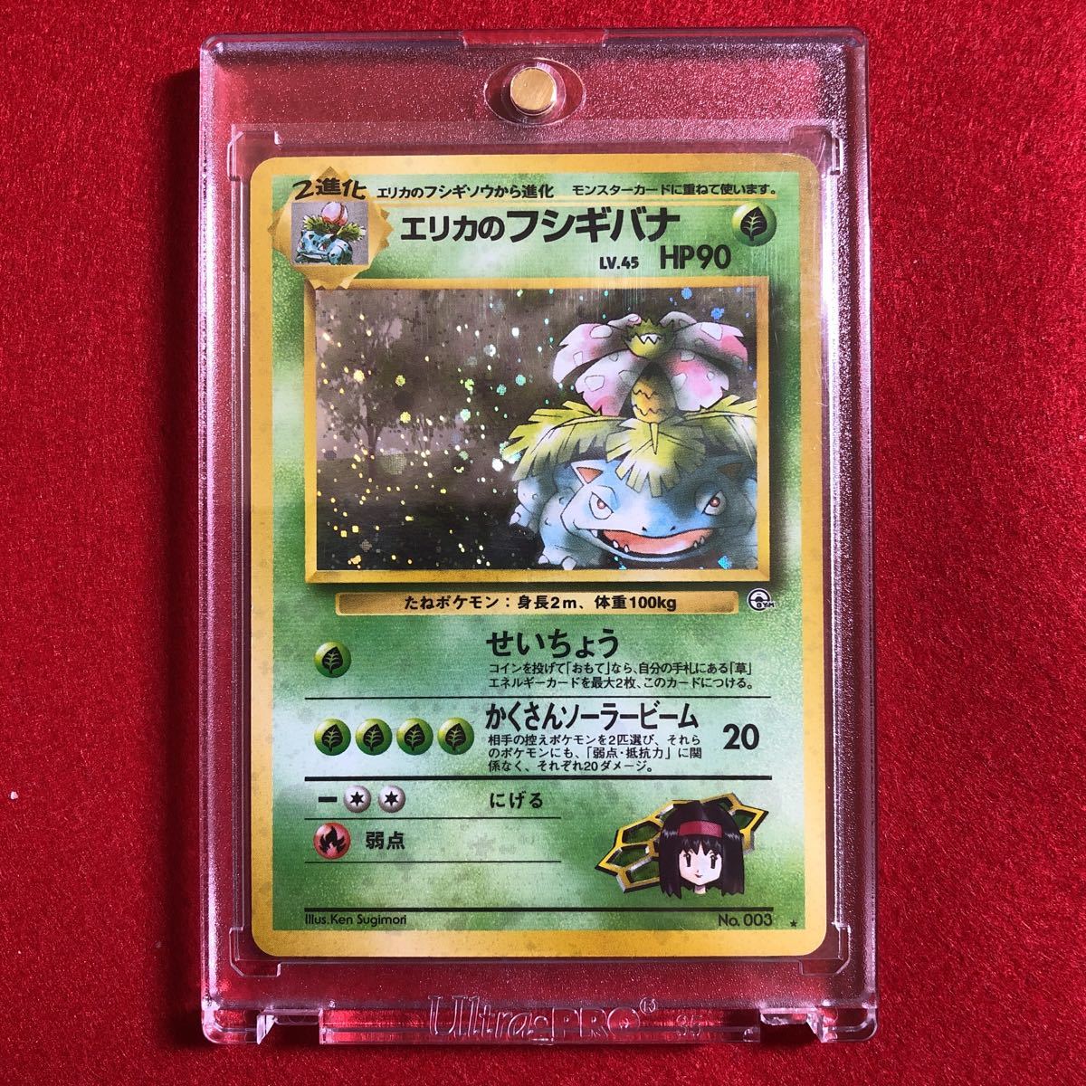 エリカのフシギバナ ポケモンカード 旧裏面 旧裏 LV.45 キラ No.003