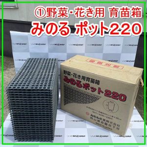みのる 苗箱のYahoo!オークション(旧ヤフオク!)の相場・価格を見る 