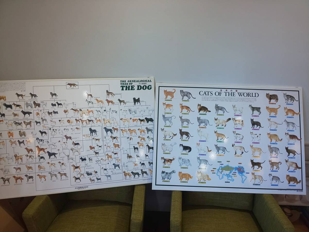 Cats Of The World 世界の猫たち The Dog Generation 犬の系統図 ボード 2枚セット 印刷物 売買されたオークション情報 Yahooの商品情報をアーカイブ公開 オークファン Aucfan Com