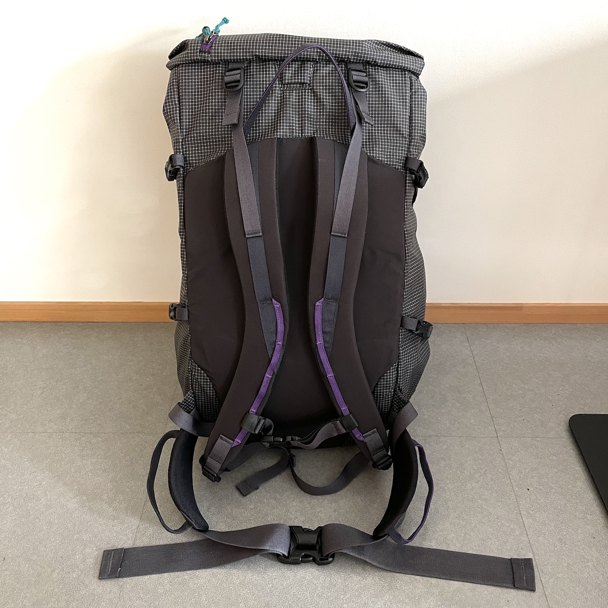 美品】、patagonia、パタゴニア、アセンジョニストパック、40リットル 