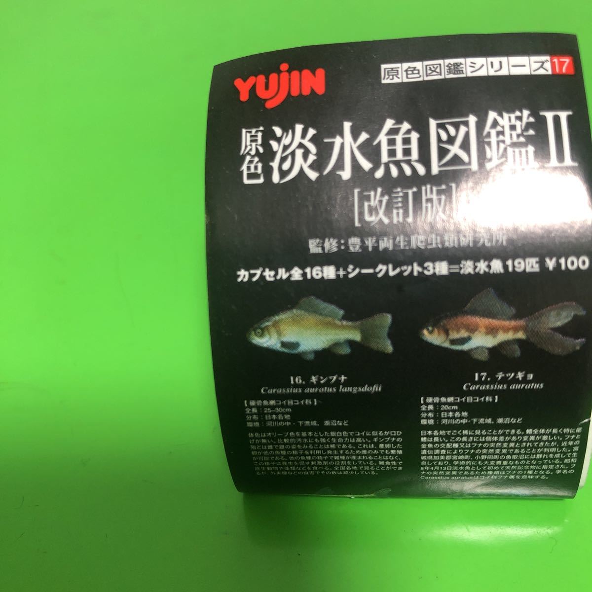 ユージン yujin 原色淡水魚図鑑II 改訂版 □ ギンブナ【未使用】定形外 
