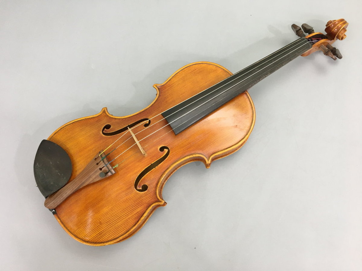 フューメ ビアンカ バイオリン 弦楽器 全長：60 cm Fiume bianca