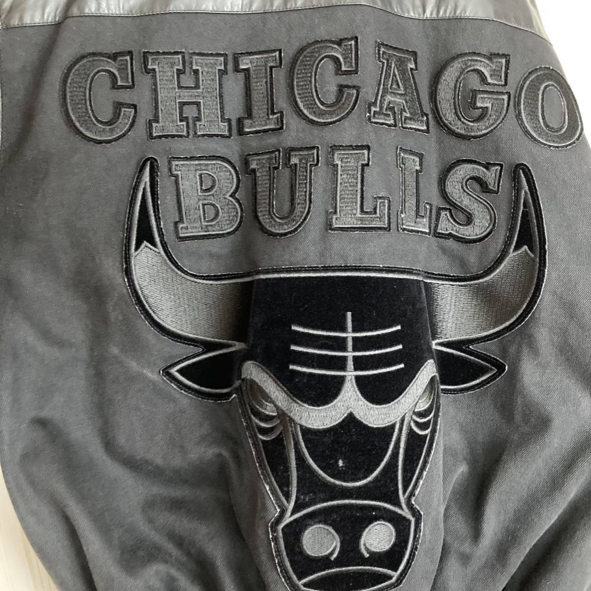 USA製 シカゴブルズ BULLS レザージャケット NBA ジェフハミルトン(XL  