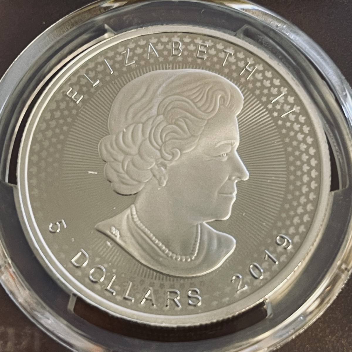 カナダ 1オンス 銀貨 2019年 5ドル カナダ 2019年 メープルリーフ 銀貨 5ドル 1オンス 【公式通販】