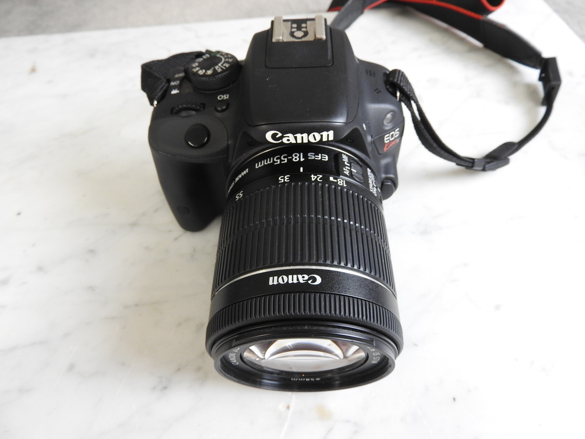 ☆canon EOS Kiss X7 ボディ / EFS 18-55mm / EFS 55-250mm ダブル