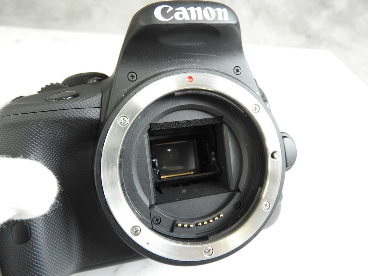 ☆canon EOS Kiss X7 ボディ / EFS 18-55mm / EFS 55-250mm ダブル