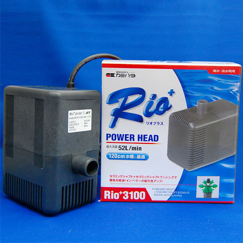 Rio+ 3100 ポンプ 52L/min Rio+ 3100 ポンプ 52L/min 楽天市場】水中