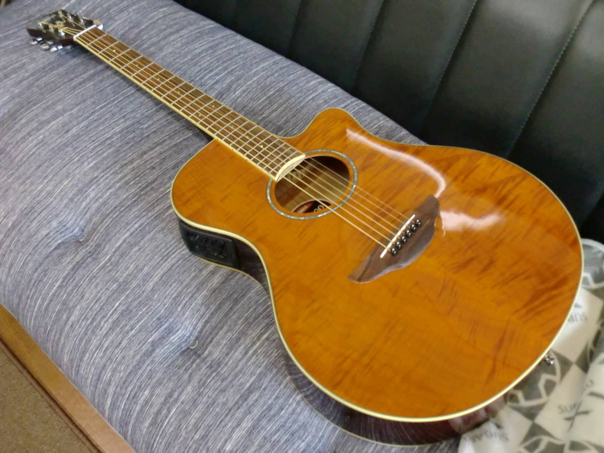 YAMAHA APX600FM